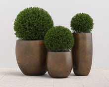 Load image into Gallery viewer, Aster Planter - Small - Round - Windsorchrome
