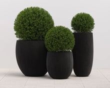 Load image into Gallery viewer, Coleus Planter - Small - Round - Windsorchrome
